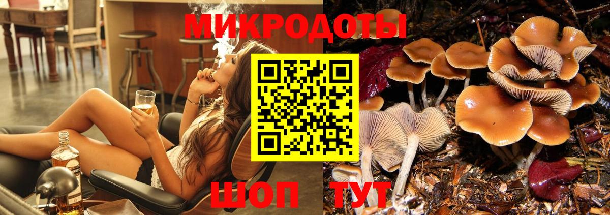 хочу   Вход с VPN  Муром  Галлюциногенные грибы Psilocybe 